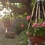 Guest Art House Aurora Penzion