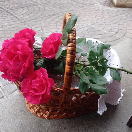 Guest Art House Aurora Pissignano