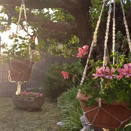 Guest Art House Aurora Penzion